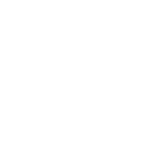 Icon X fka Twitter